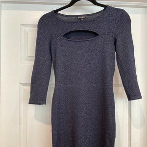 Express Navy/Sparkle Fitted Dress